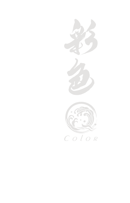 美しさの芸術、笑顔の未来を創る ― 株式会社彩色